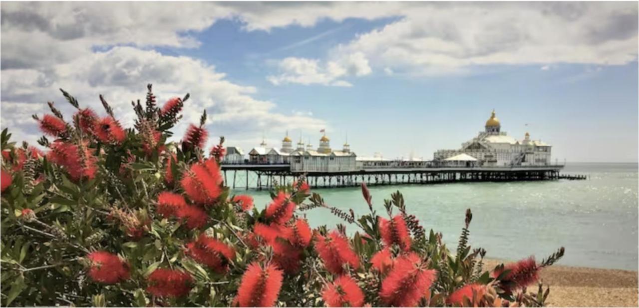 Burlington Palace Eastbourne Seafront Villa With Garden. Zewnętrze zdjęcie